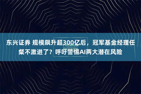 东兴证券 规模飙升超300亿后，冠军基金经理任粲不激进了？呼吁警惕AI两大潜在风险